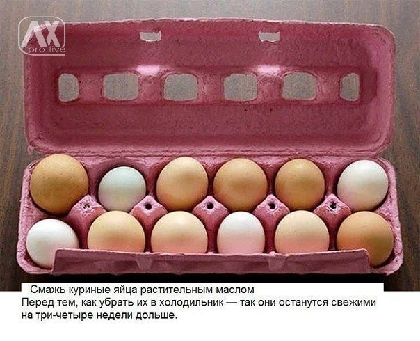 Как продлить свежесть куриным яйцам