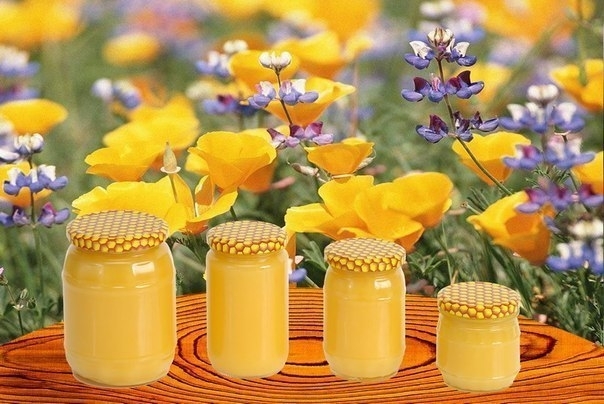 Как отличить настоящий мёд от ненастоящего