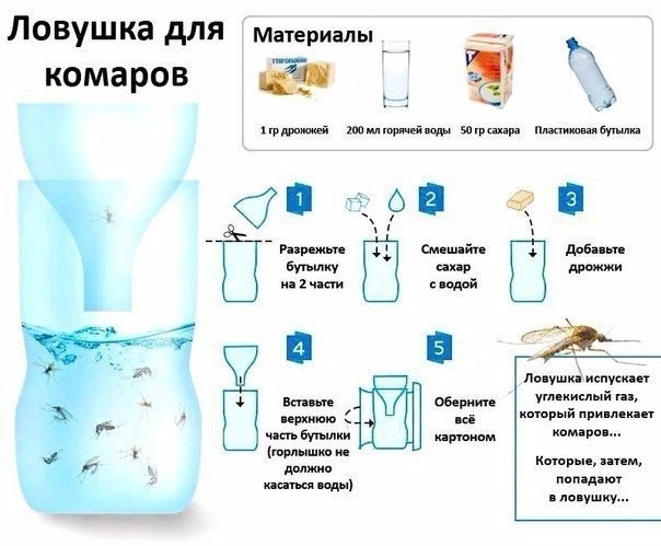 Простой рецепт натуральной самодельной ловушки для комаров