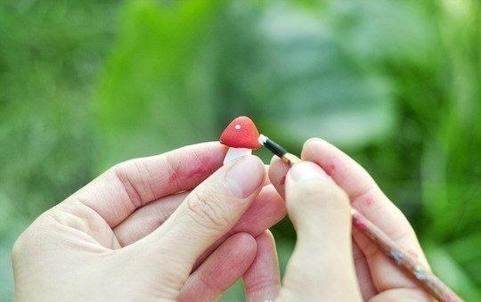 Вечнозеленый маленький мир Вечнозеленый маленький мир