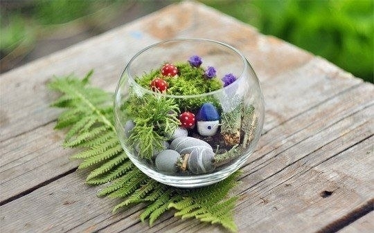 Вечнозеленый маленький мир Вечнозеленый маленький мир