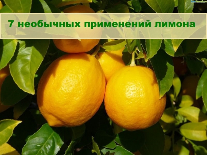 7 удивительных способов применения лимона в косметических целях.