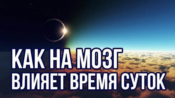 Как на мозг влияет время суток. Как на мозг влияет время суток.