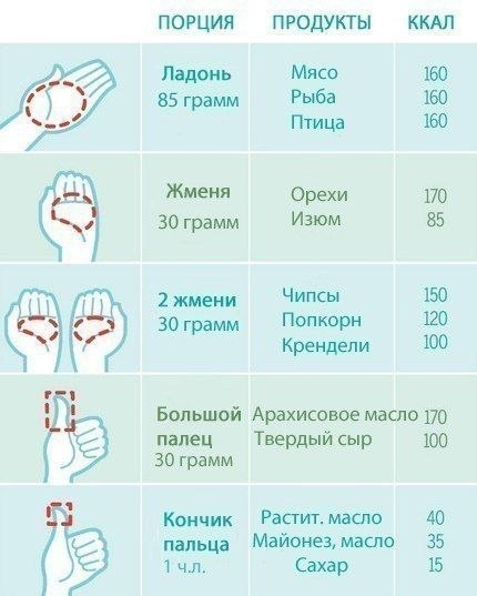 Как отмерить порцию при помощи ладони?