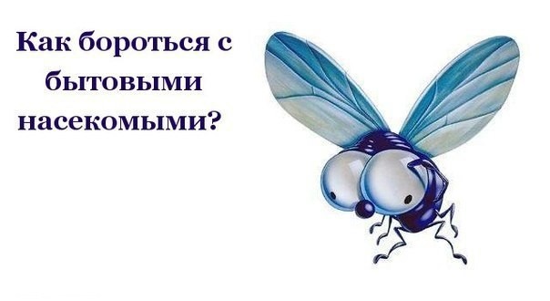 КАК БОРОТЬСЯ С БЫТОВЫМИ НАСЕКОМЫМИ. КАК БОРОТЬСЯ С БЫТОВЫМИ НАСЕКОМЫМИ.