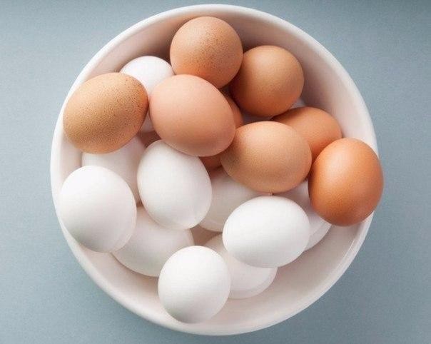 20 суперских фактов-подсказок, с которыми вы не пропадёте! 20 суперских фактов-подсказок, с которыми вы не пропадёте!