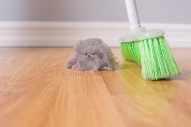 ​4 способа сократить количество пыли в доме