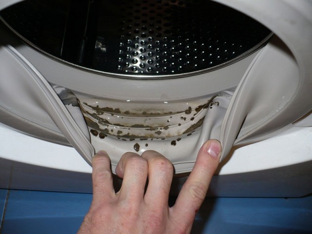 ​Чистка стиральной машины от плесени