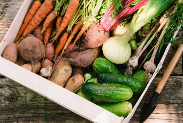 ​Экономьте разумно! 10 способов продлить срок годности овощей и фруктов