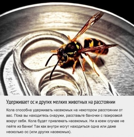Используем колу в бытовых делах. Это в 100 раз лучше, чем пить ее! Используем колу в бытовых делах. Это в 100 раз лучше, чем пить ее!