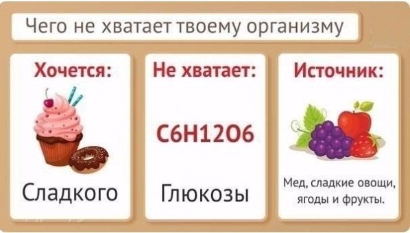 Учимся слушать свой организм: что делать, когда хочется вредной еды