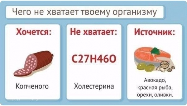 Учимся слушать свой организм: что делать, когда хочется вредной еды