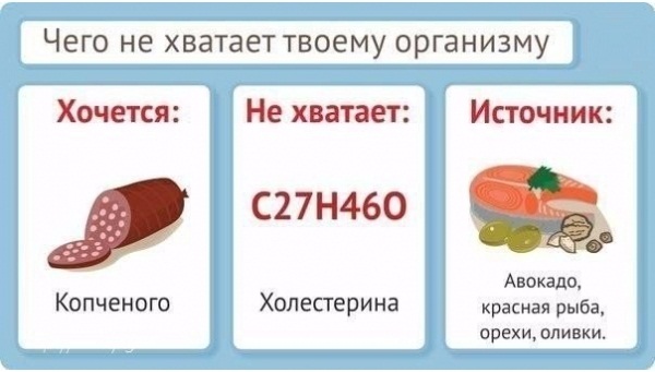 Учимся слушать свой организм: что делать, когда хочется вредной еды