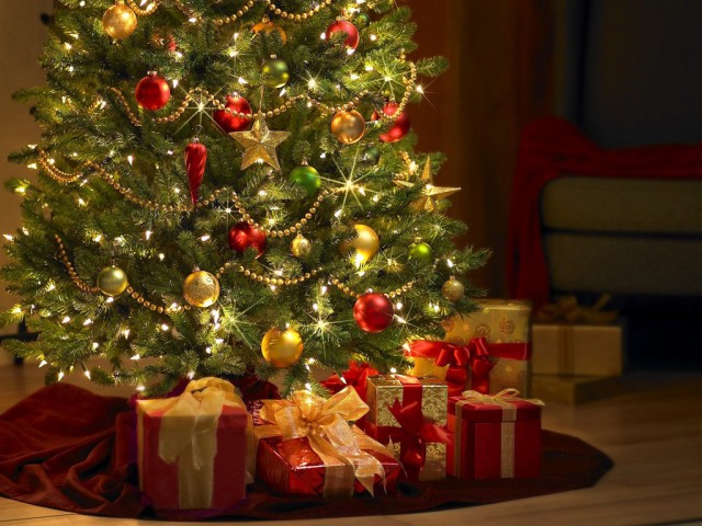 Выбираем новогоднее дерево: елка, сосна или искусственная замена?