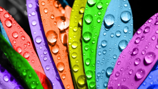 Как влияет цвет на наше настроение: цветотерапия