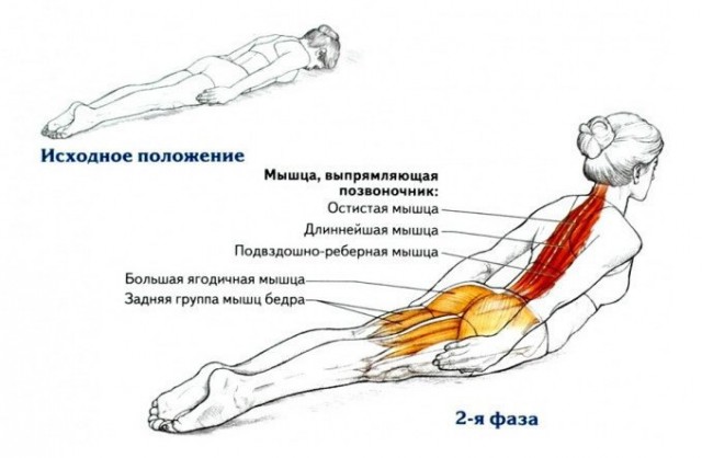 Всего одно упражнение для королевской осанки