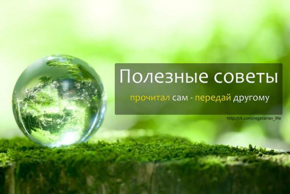 Хозяйке на заметку Хозяйке на заметку
