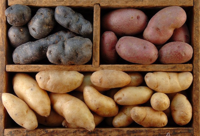 Как сохранить картошку надолго?
