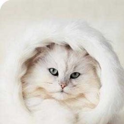 Любовь Любовь