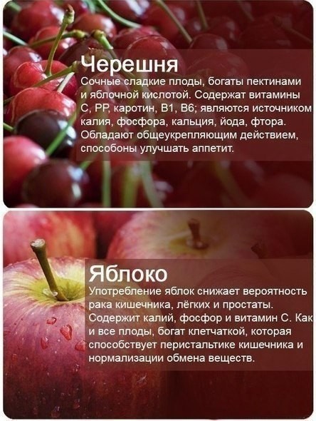 ​Что стоит знать о полезных свойствах ягод и фруктов