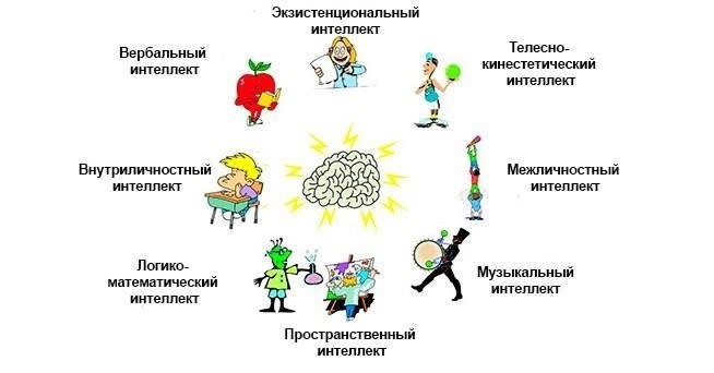 8 типов интеллекта или как не профукать будущее своего ребёнка 8 типов интеллекта или как не профукать будущее своего ребёнка