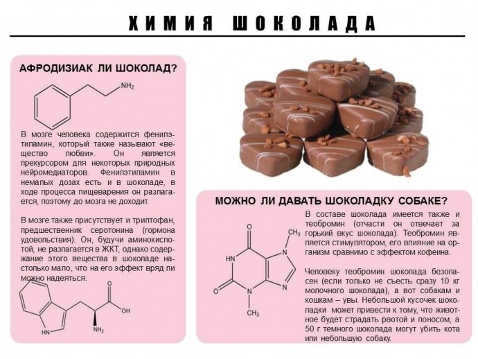 ​Как разобраться в химии обычных продуктов