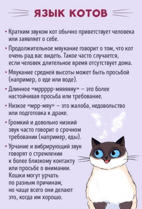 ​Язык котов