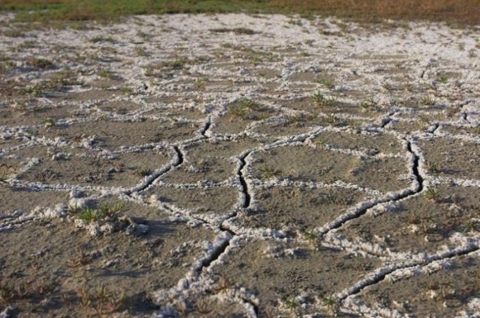 ​Как удалить соль из грунта