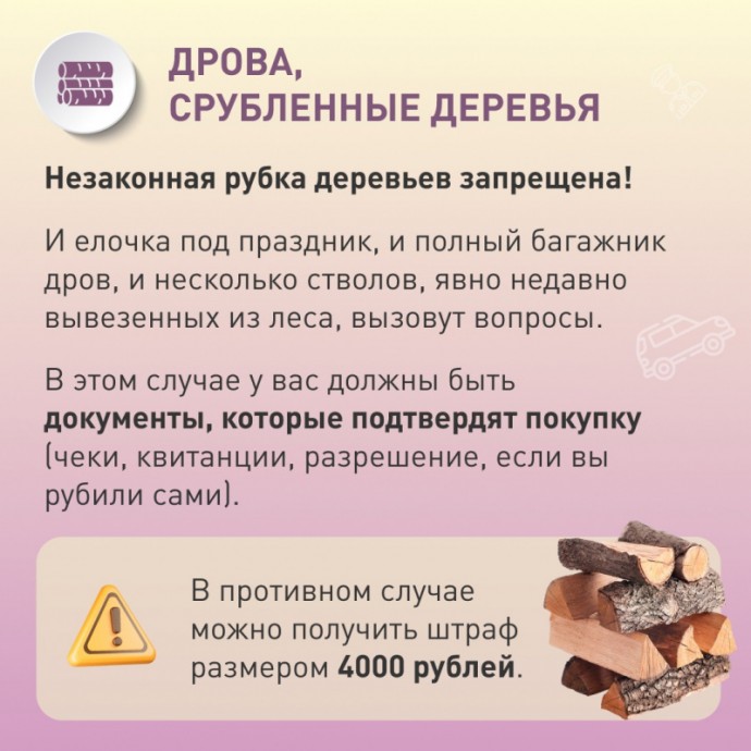 Какие вещи в багажнике могут вызвать вопросу у ГИБДД Какие вещи в багажнике могут вызвать вопросу у ГИБДД