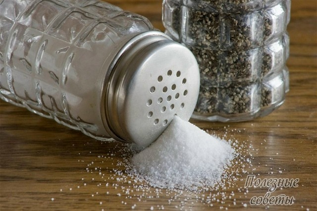 ​Использование соли на кухне
