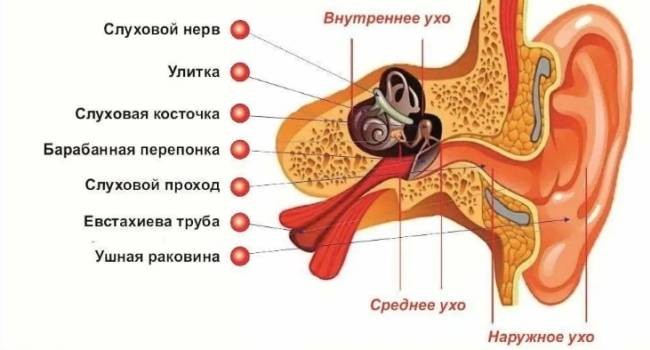 Как наушники повреждают ваш слух Как наушники повреждают ваш слух