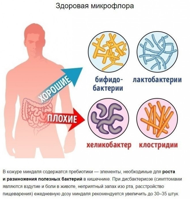 Что произойдет с телом, если съедать 4 миндальных ореха каждый день Что произойдет с телом, если съедать 4 миндальных ореха каждый день