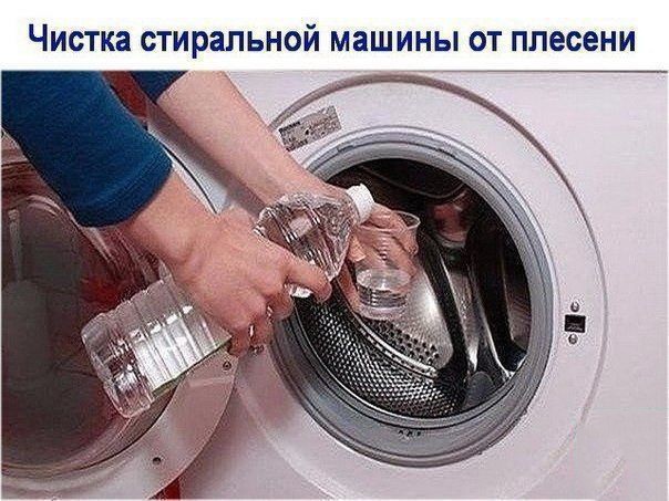 Чистка стиральной машины от плесени Чистка стиральной машины от плесени