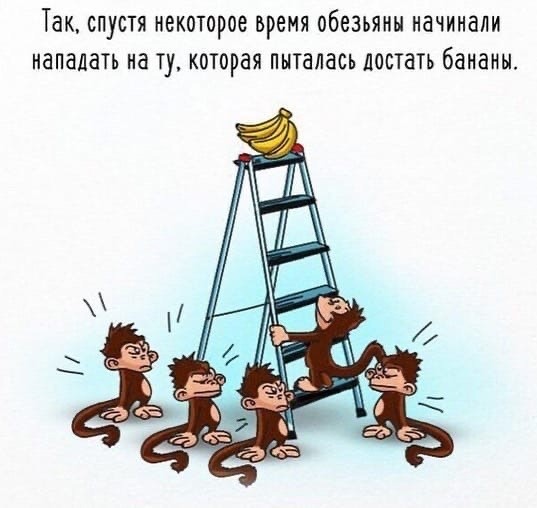 ​О том, что иногда нужно ставить под сомнение предубеждения и что-то менять