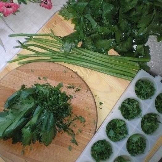 ​Все секреты длительного хранения зелени