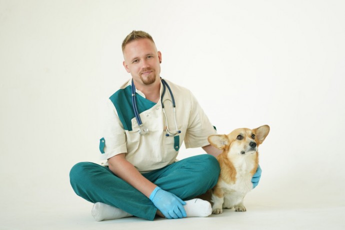 Топ вредных советов при посещении ветеринарного врача