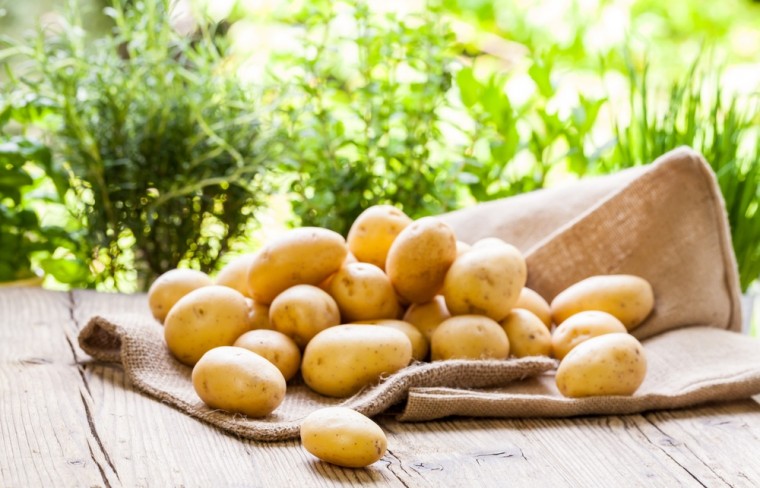​Как минимизировать прорастание картофеля