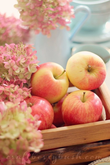 7 причин, по которым нужно есть яблоки