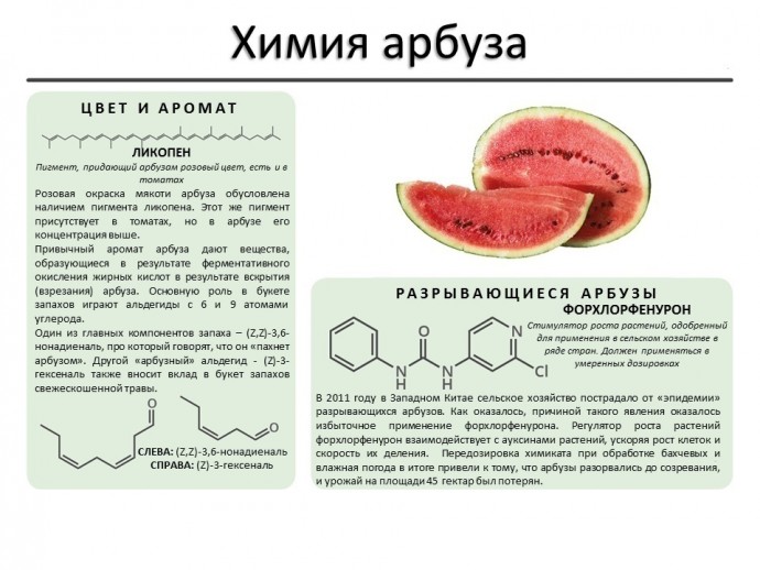 ​Как разобраться в химии обычных продуктов