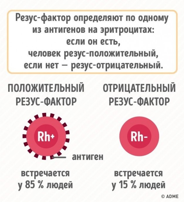 Почему нужно знать группу крови всех членов семьи