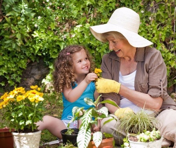 ​Бабушкины советы по домашнему цветоводству