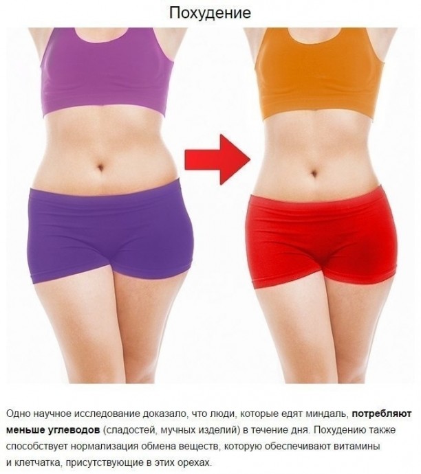 Что произойдет с телом, если съедать 4 миндальных ореха каждый день Что произойдет с телом, если съедать 4 миндальных ореха каждый день