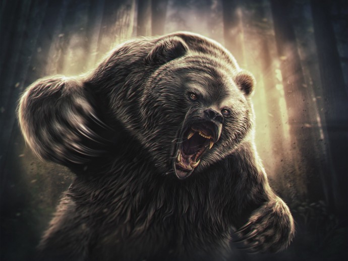 Как с помощью телефона можно спастись от нападения медведя
