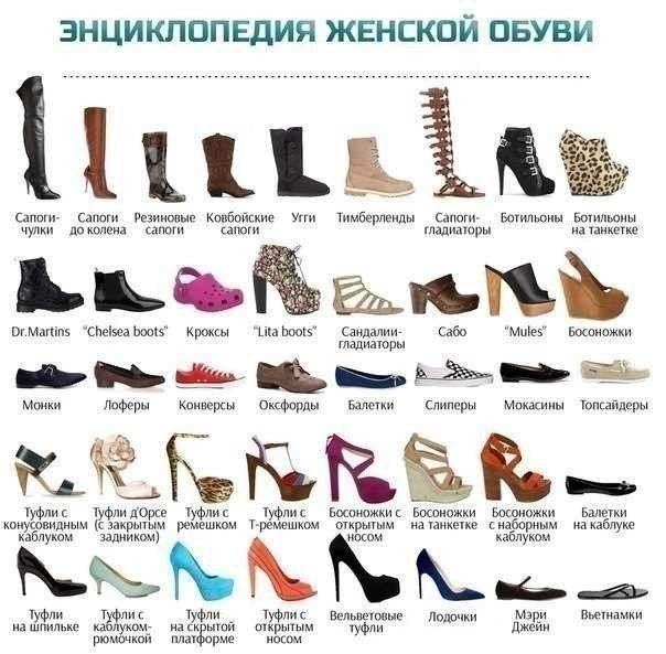 Энциклопедия женской обуви