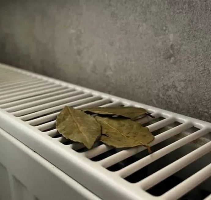 ​Кладем лавровый лист на радиатор отопления
