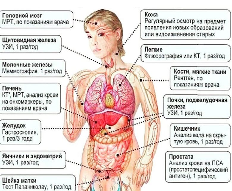 Забота о здоровье: что и как часто стоит проверять