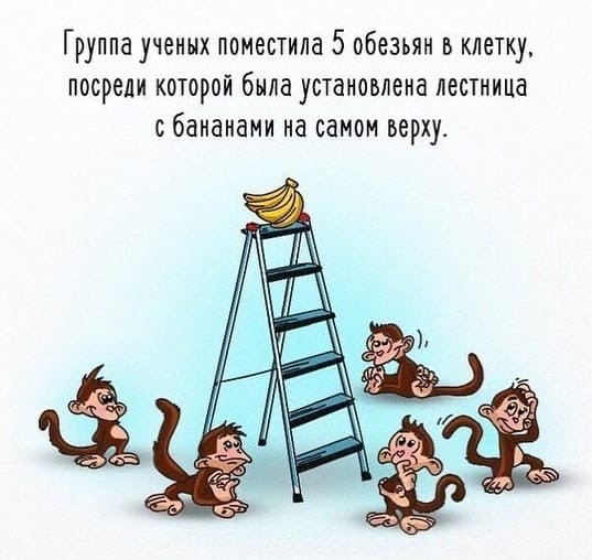 ​О том, что иногда нужно ставить под сомнение предубеждения и что-то менять