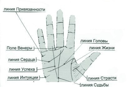 Что значат линии на ладони: объясняем простым и доступным языком Что значат линии на ладони: объясняем простым и доступным языком