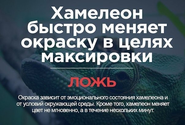 Для тех, кто хочет знать правду