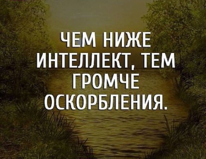 ​Как грамотно реагировать на оскорбления